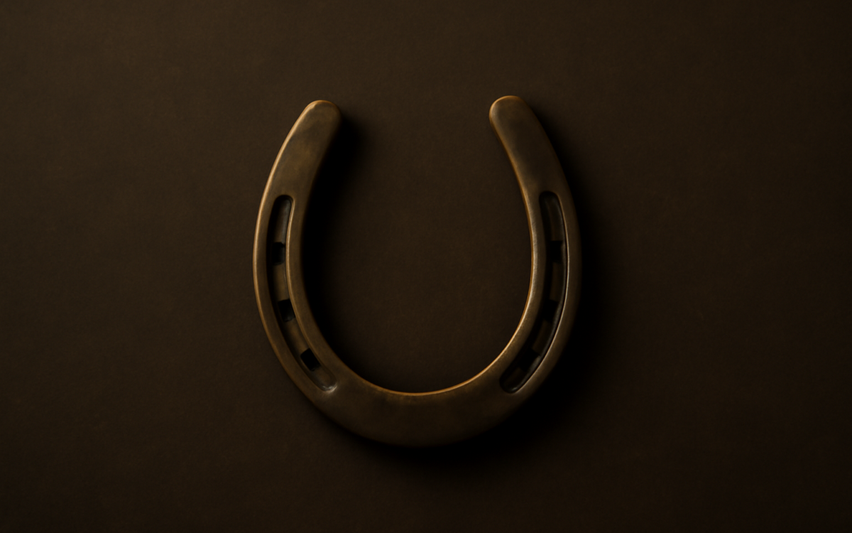 brass horseshoe dark