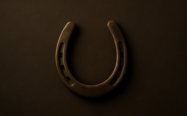 brass horseshoe dark