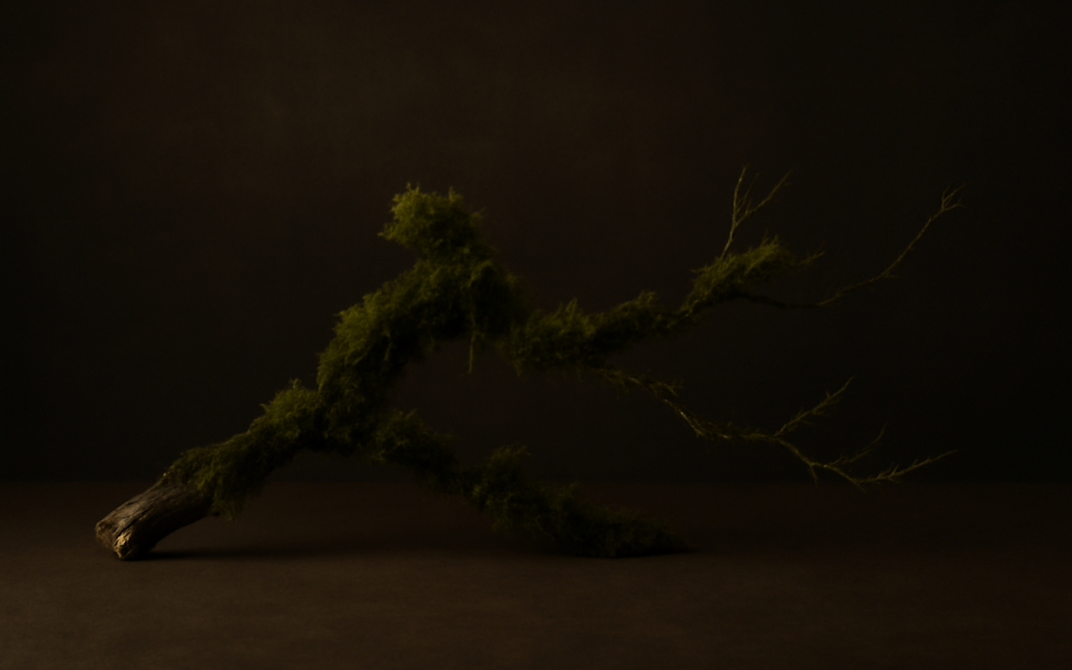 mossy branch dark