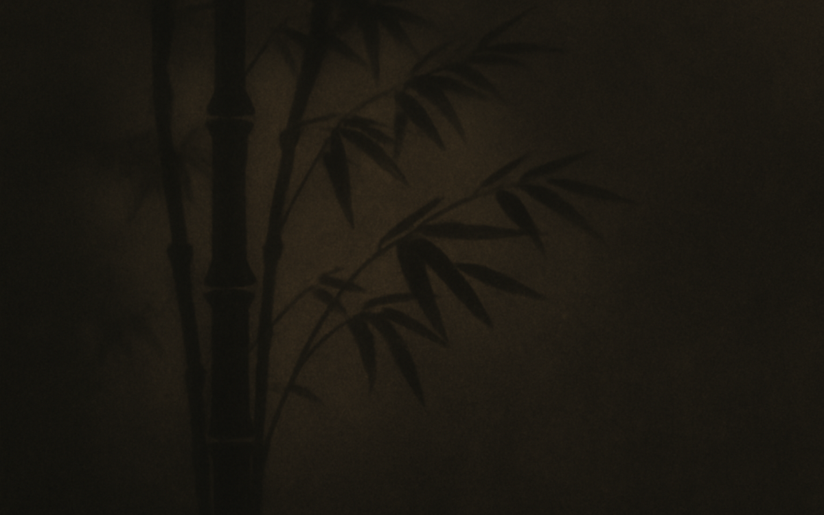 bamboo grove shadow dark