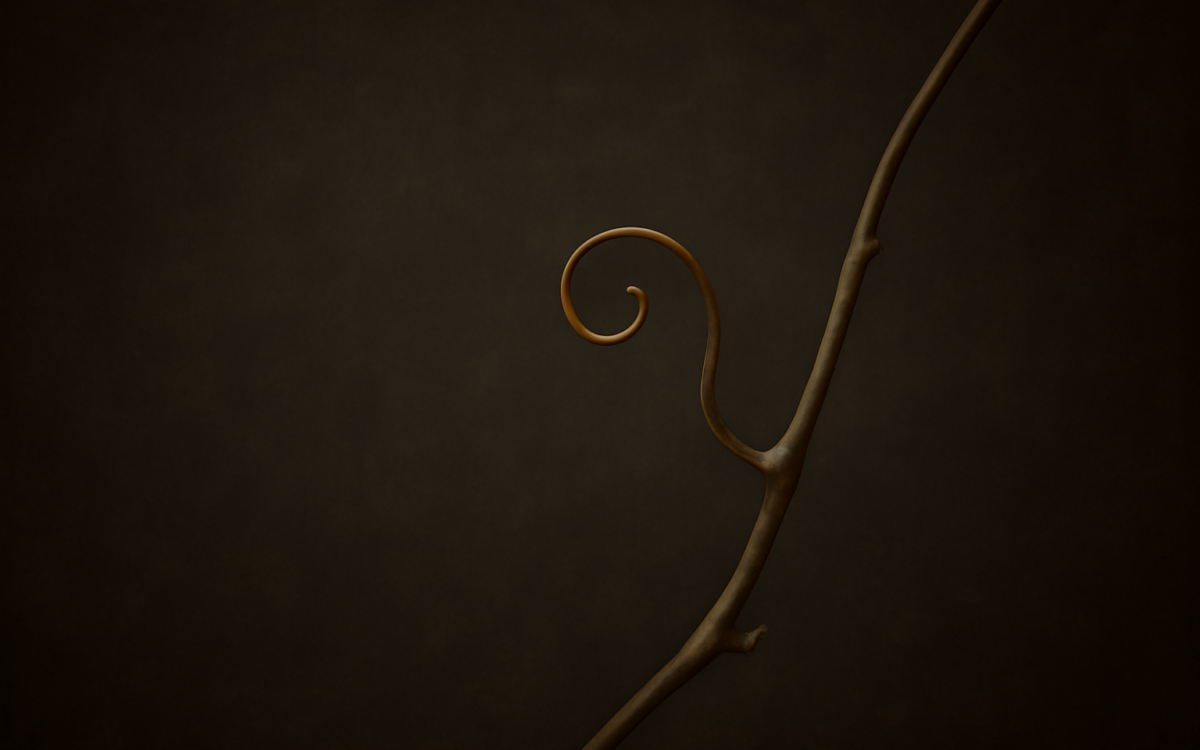 vine tendril dark