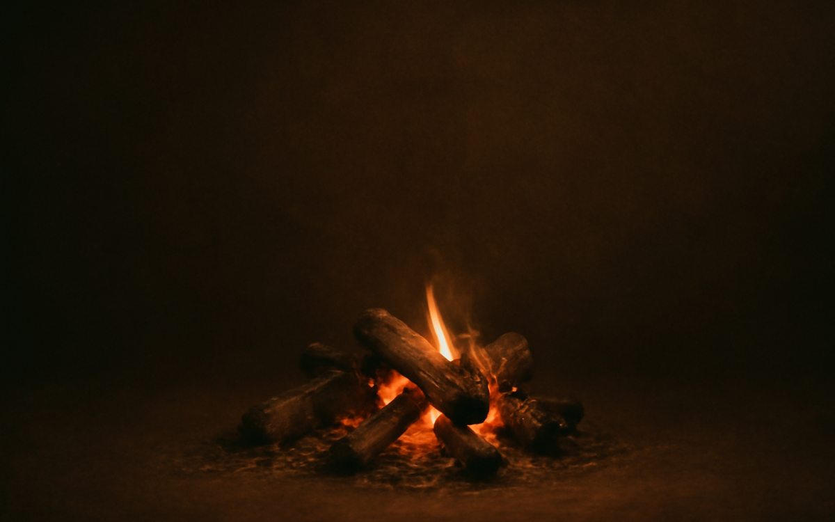 bonfire embers night