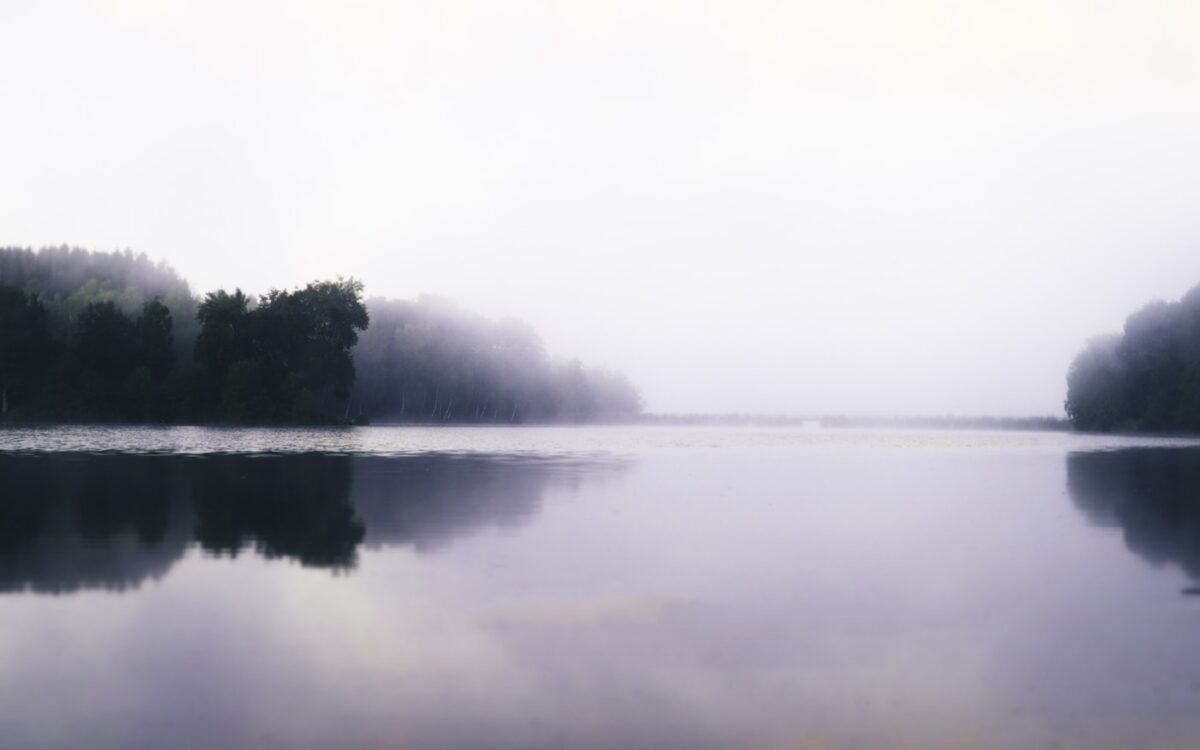 a body of water surrounded by trees and fog