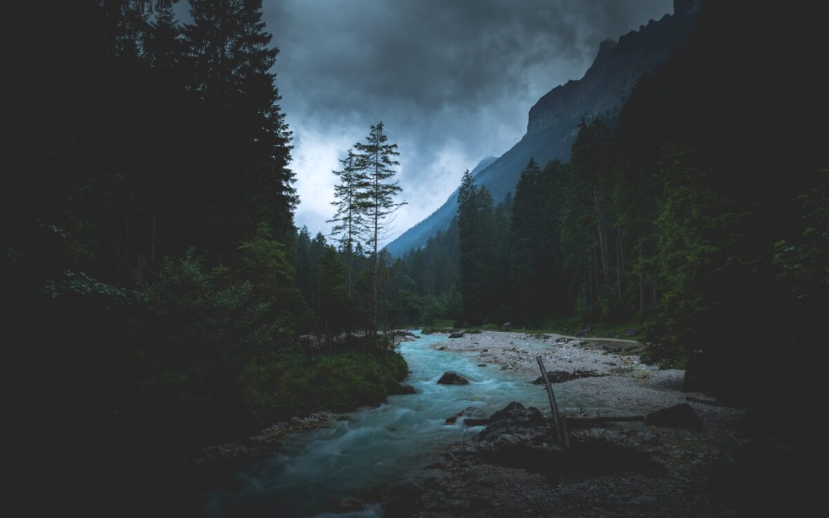 flowing river between tall trees