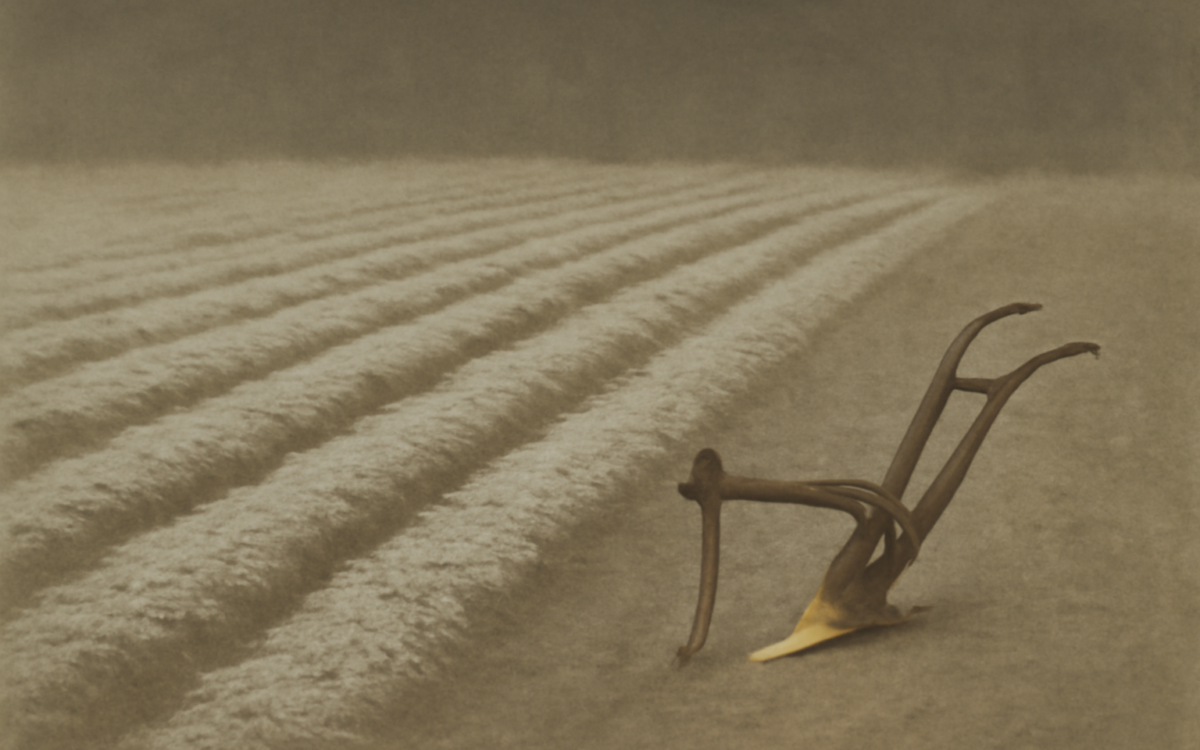 plough field frost