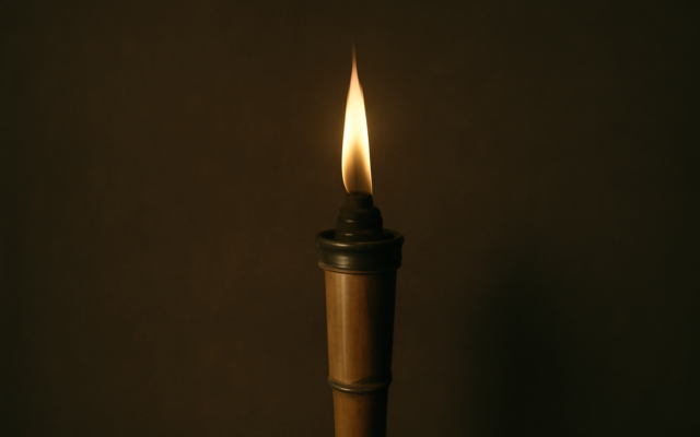 torch flame night