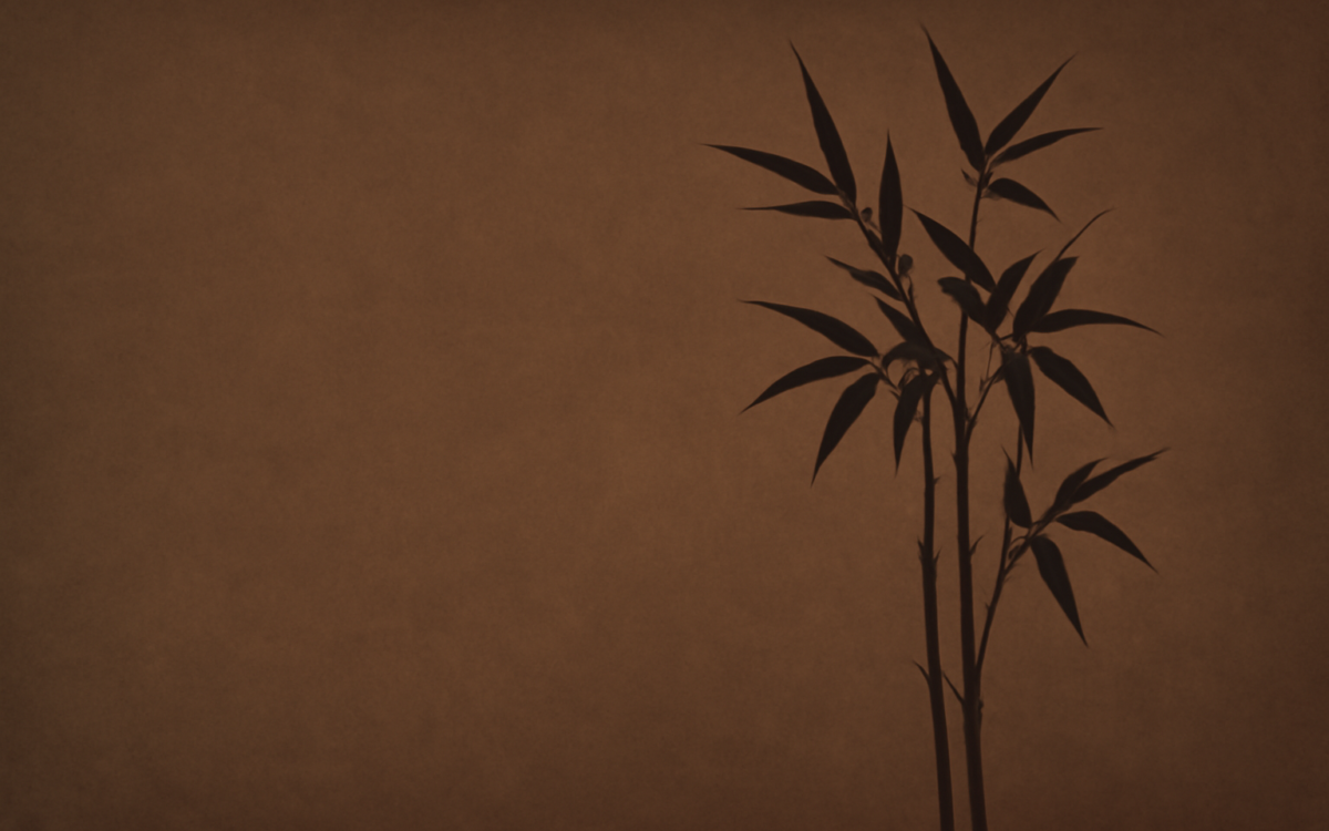 bamboo grove shadow