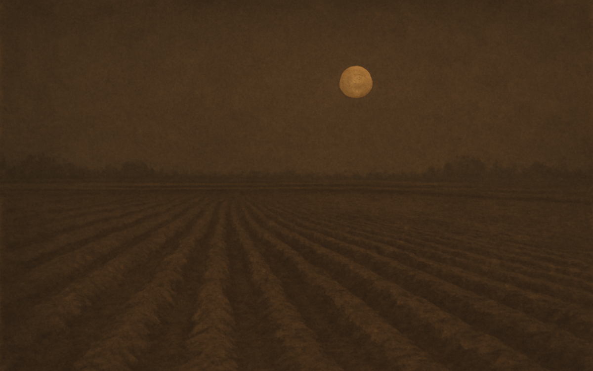ploughed field dusk