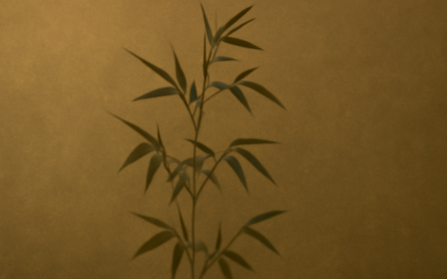 green bamboo shadow matte