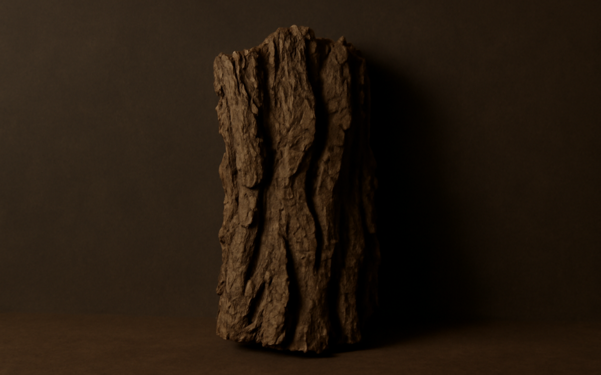 forest bark grain dark