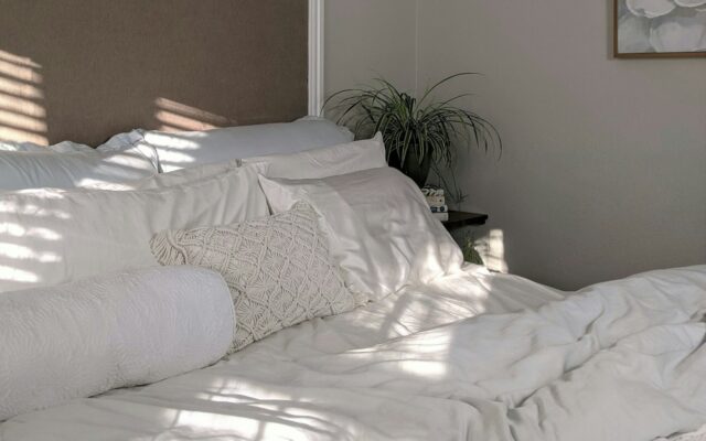 white bed linen near green plant