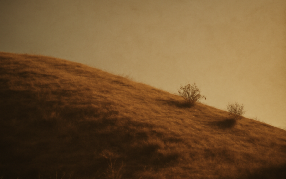 sunlit dry hillside