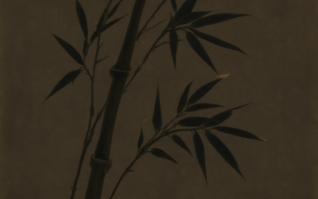 ink brush bamboo dark