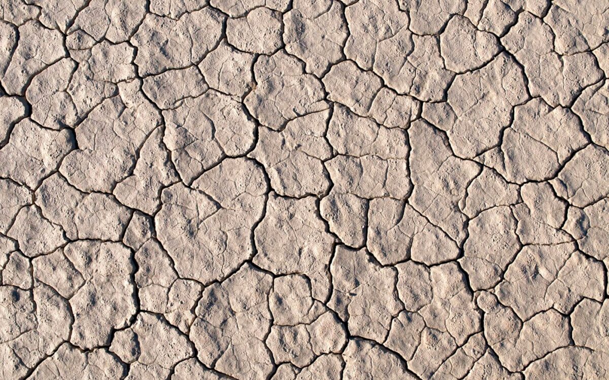 dried up soil