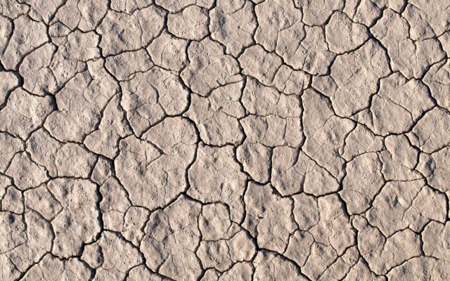 dried up soil