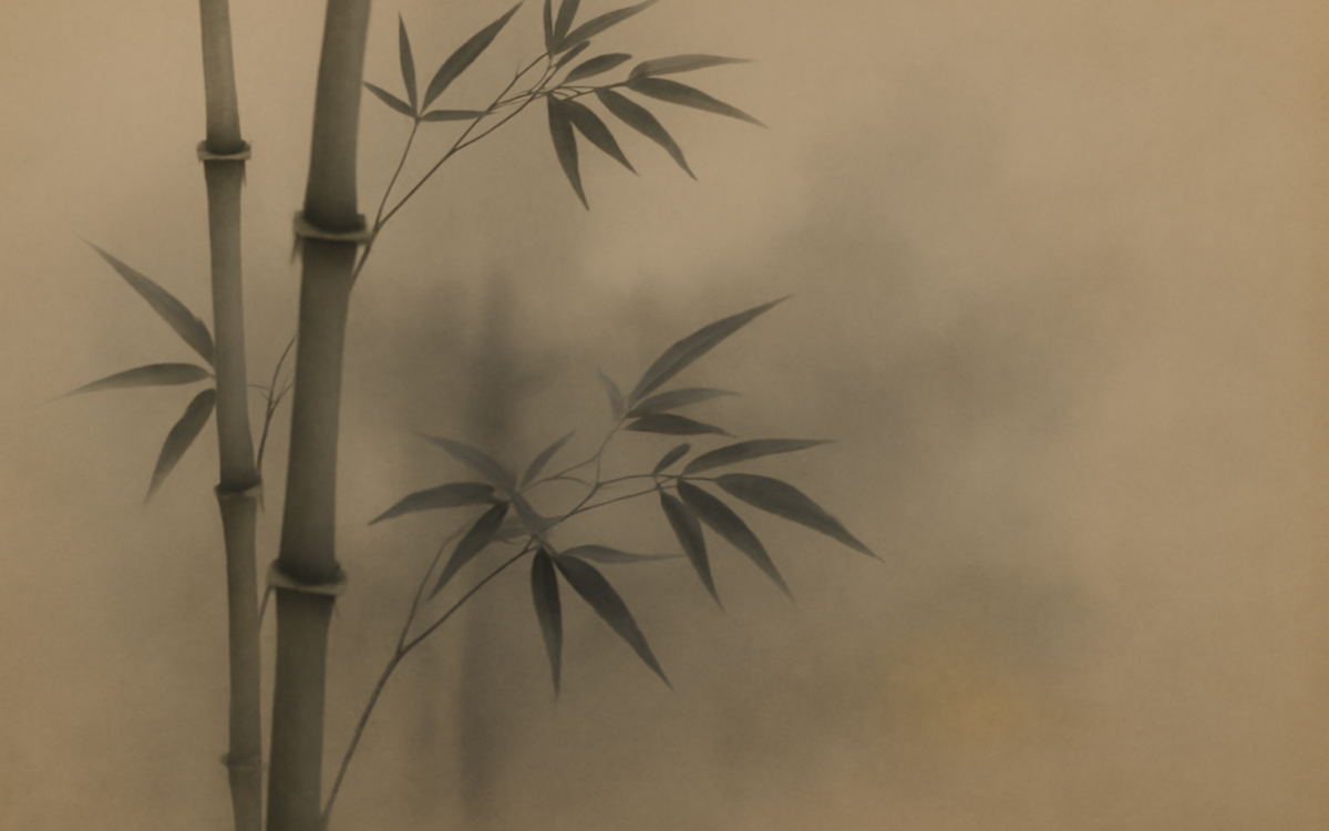 bamboo mist ink