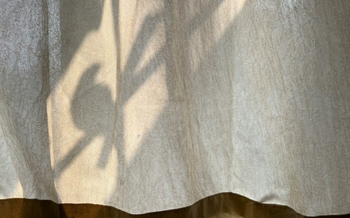 a shadow of a plant on a curtain