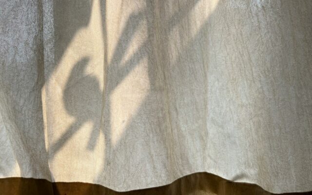 a shadow of a plant on a curtain