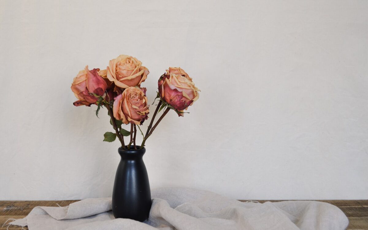 pink roses in black vase