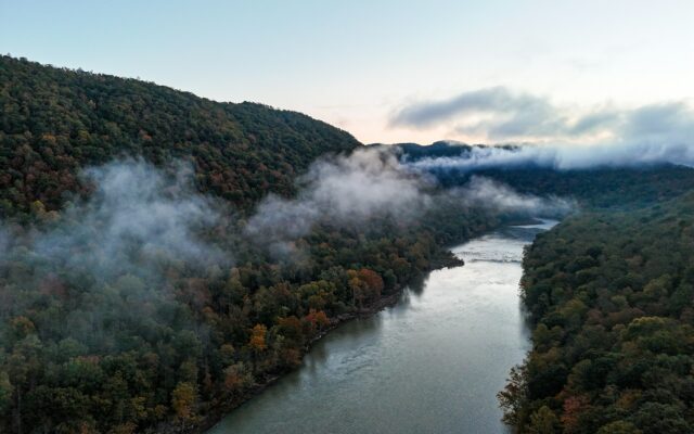 An aerial view of a river surrounded by trees