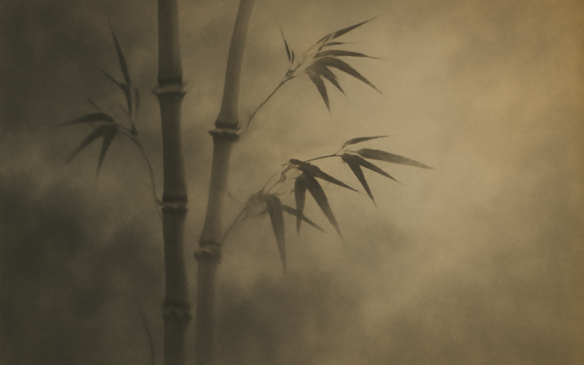 bamboo mist ink wash