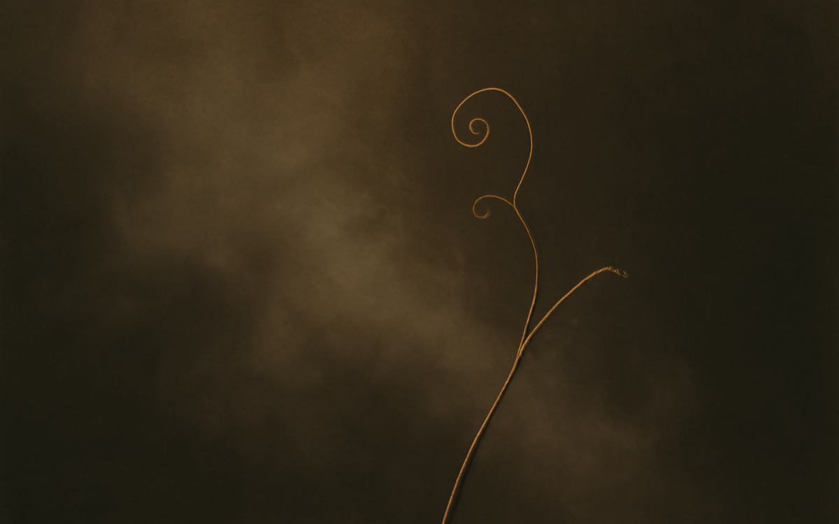 vine tendril mist
