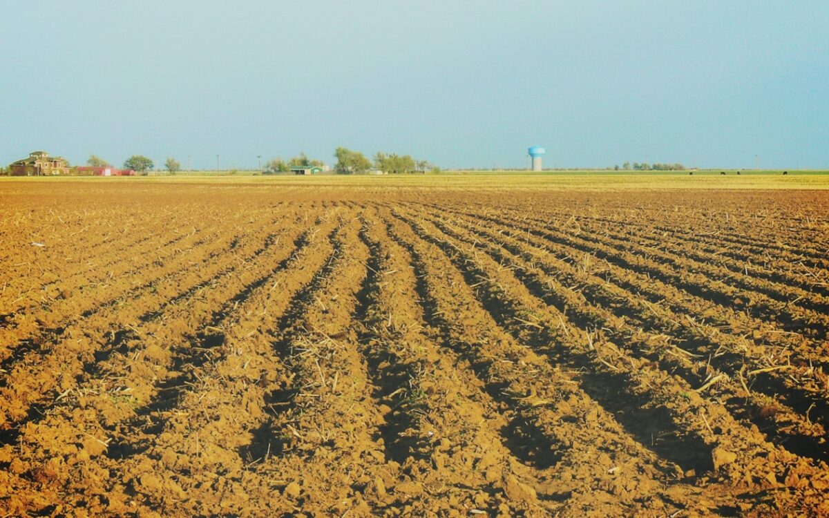 empty field during daytime