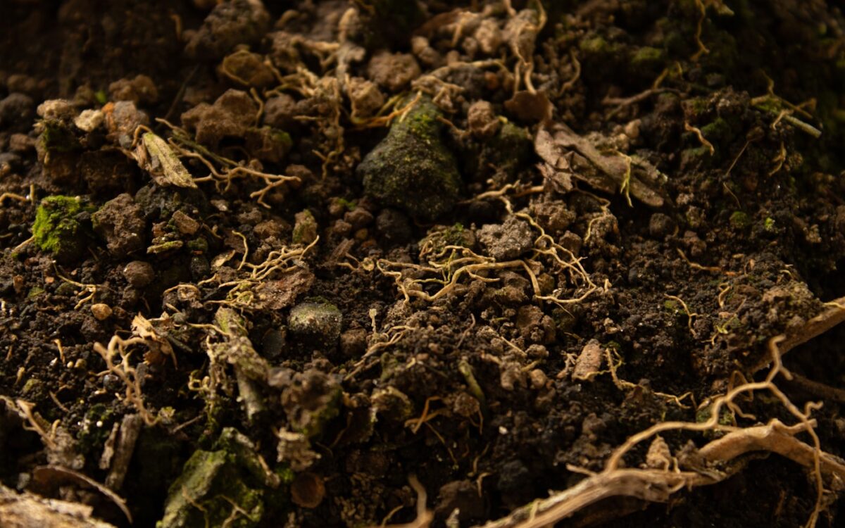a close up of a pile of dirt