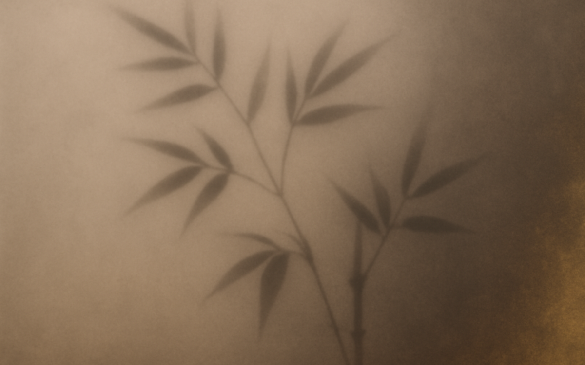 bamboo shadow mist