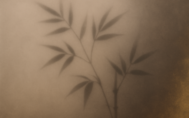 bamboo shadow mist
