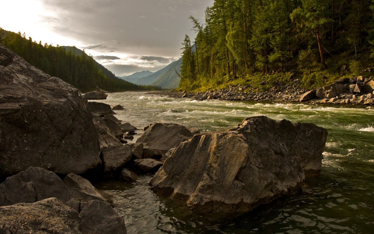 river between trees and rocks