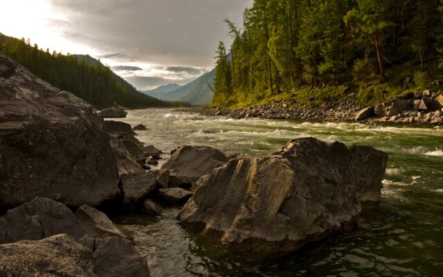 river between trees and rocks