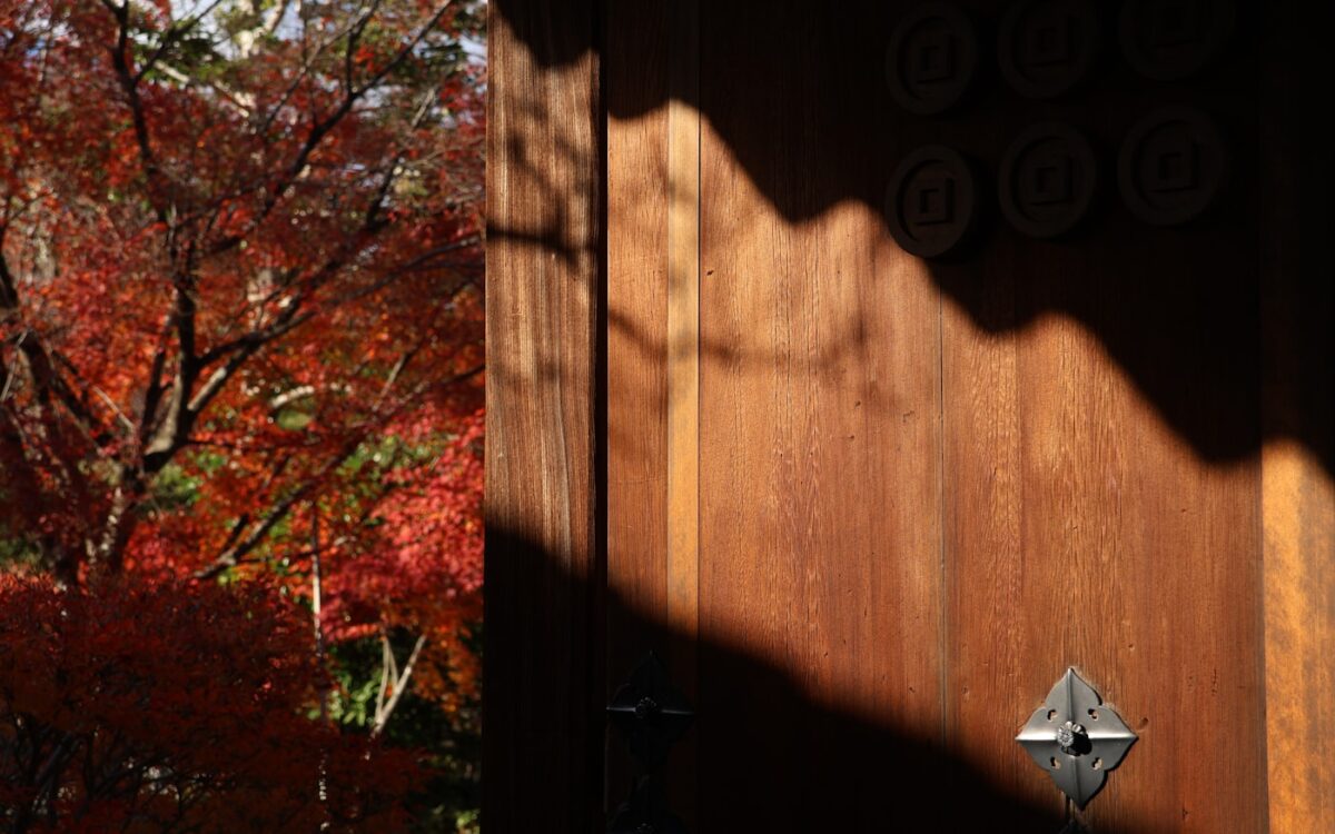 Wooden gate with autumn leaves and shadows
