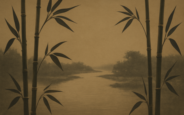river through bamboo