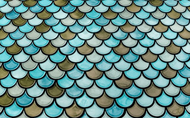 blue and black roof tiles