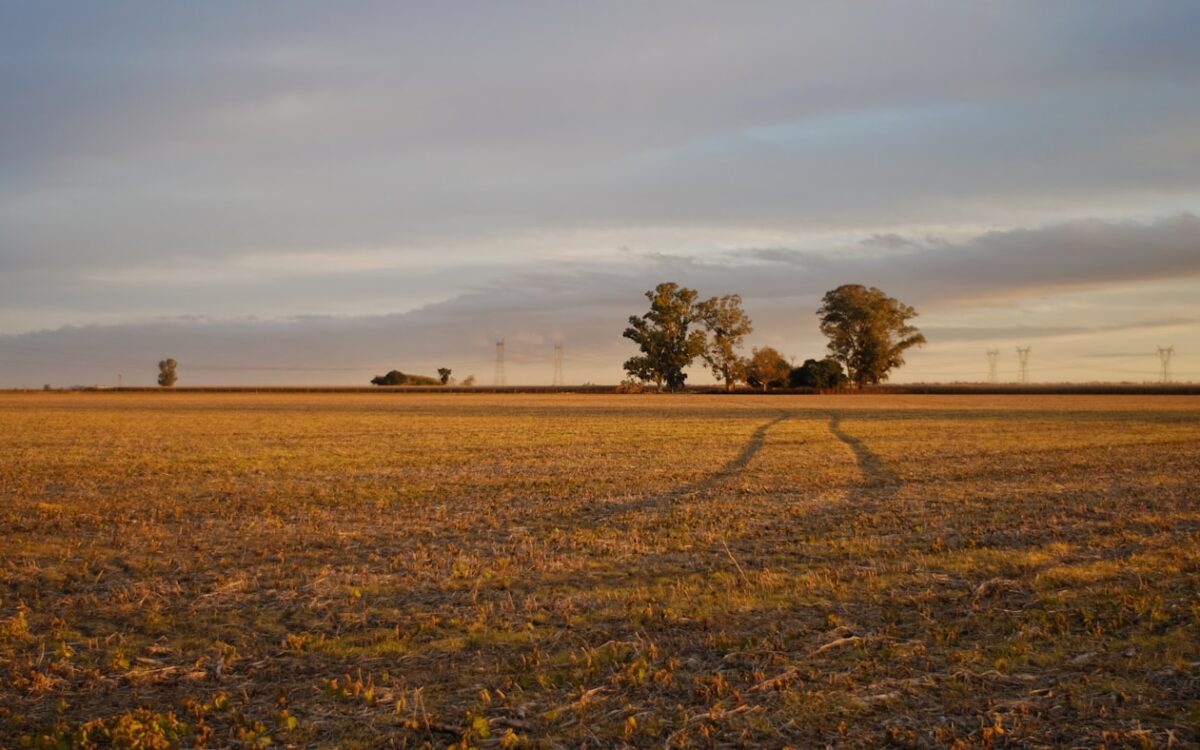 view of grass field