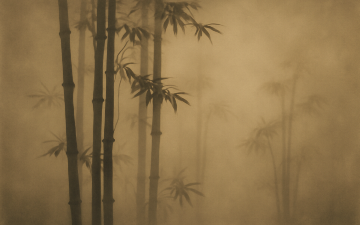 bamboo grove mist
