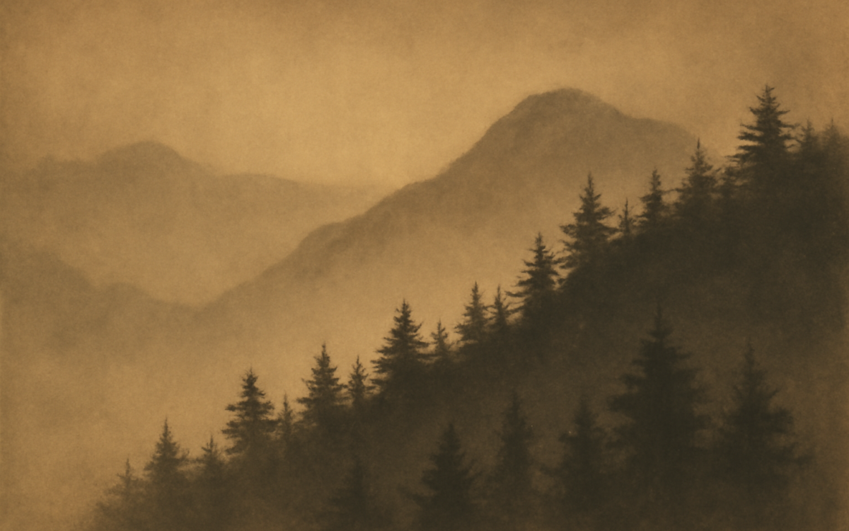 mountain ridge forest