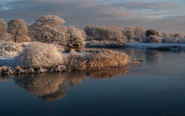 a body of water surrounded by trees covered in snow