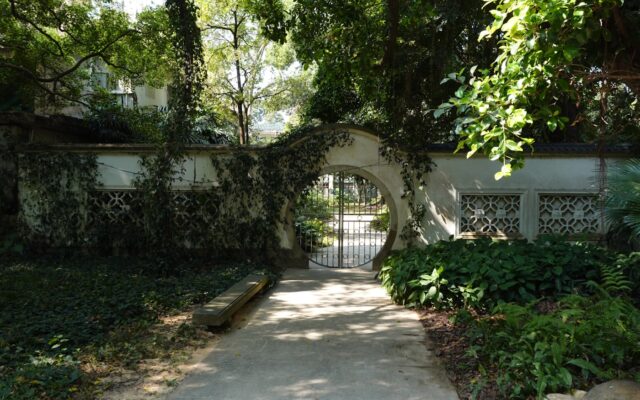 Arched gateway covered in ivy leads to a garden.