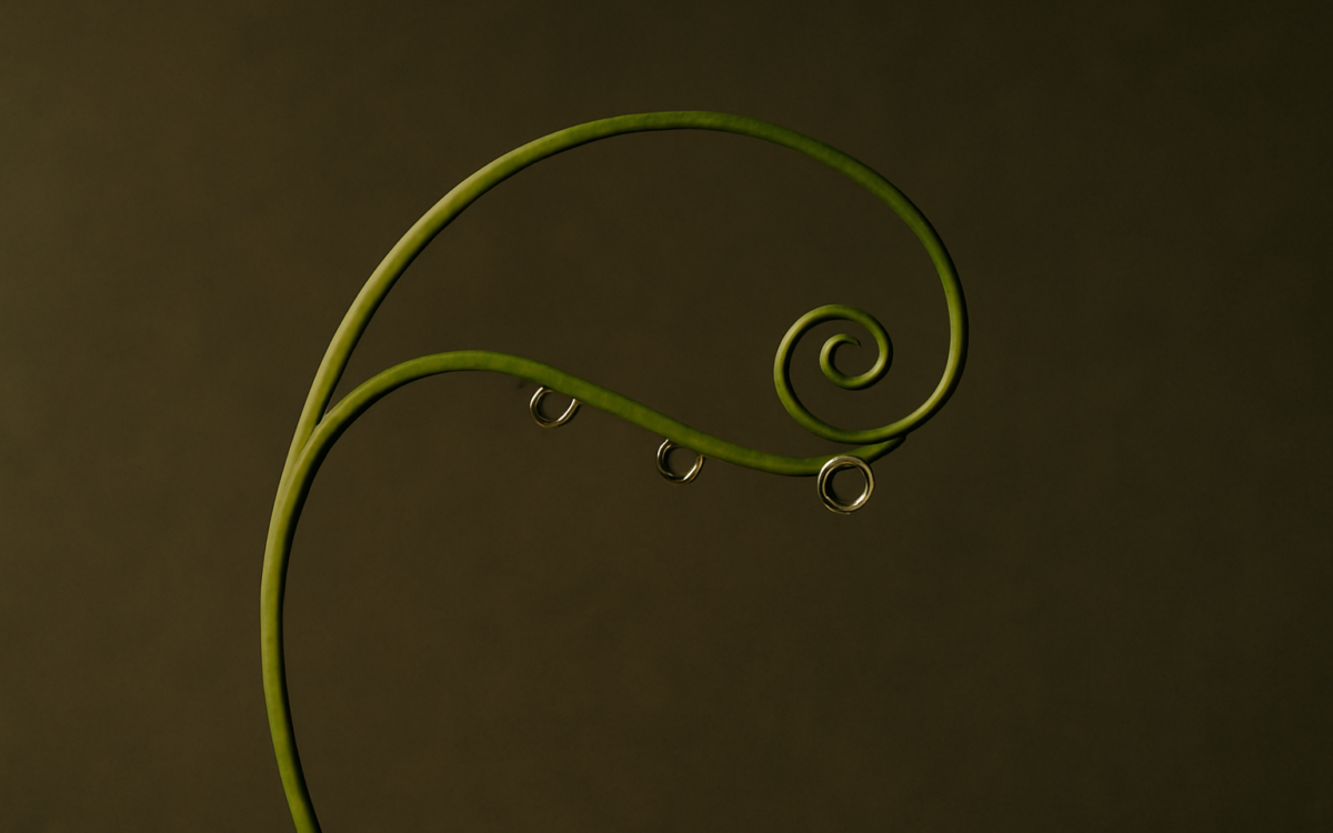 green vine tendril dew