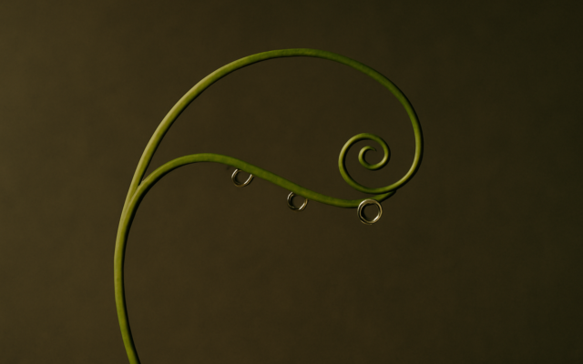 green vine tendril dew