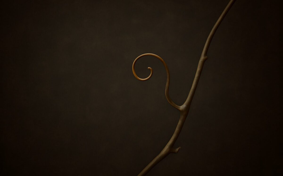 Vine tendril on a dark background, illustrating the 1945 Wood Rooster (Yi You) zodiac year