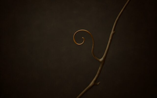 Vine tendril on a dark background, illustrating the 1945 Wood Rooster (Yi You) zodiac year