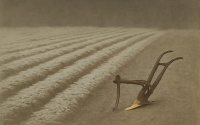 Old plough beside pale ploughed furrows, reflecting the 1985 Wood Ox (Yi Chou) Chinese zodiac year