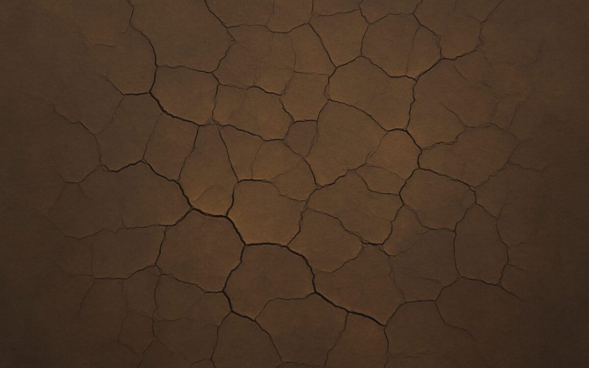 Cracked earth texture, illustrating the 2008 Earth Rat year in the Chinese zodiac