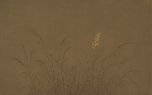 Muted field of dry grass, illustrating the 2027 Fire Goat year