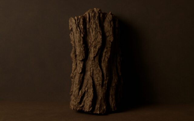Dark forest bark grain, reflecting the 2034 Wood Tiger year in the Chinese zodiac