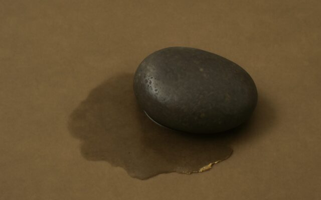Wet dark stone resting in a small puddle, reflecting the hidden stems of the Chen branch, the Dragon