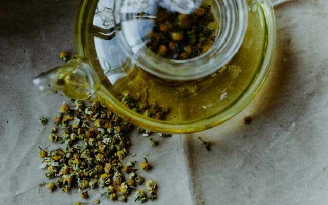 Chrysanthemum tea in a glass pot with dried chrysanthemum flowers